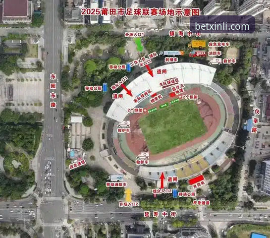 老球迷实战总结：新利体育热门联赛观赛与App使用心得